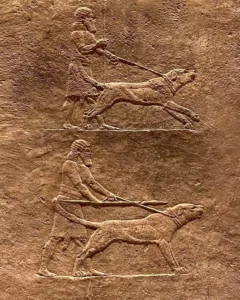 Detail of The Royal lion hunt relief from the Assyrian palace at Nineveh , about 645-635 BC, British Museum