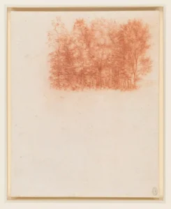 Leonardo da Vinci, Birch Copse, Red Chalk on Paper, 19 cm x 15 cm, c. 1500, Royal Collection Windsor