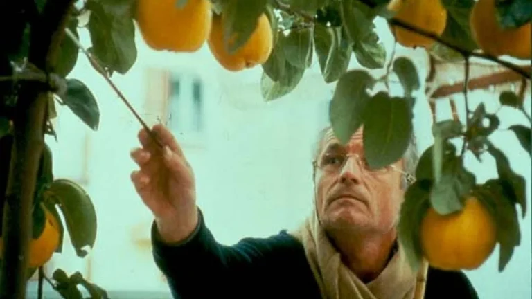 El sol del membrillo by Víctor Erice 1992, selected scenes